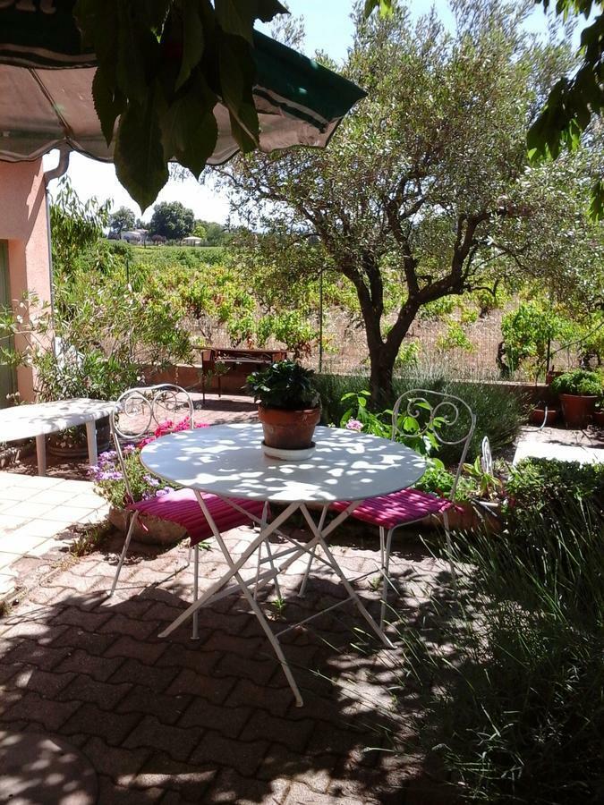 Bed and Breakfast Vents d'Anges Sainte-Cécile-les-Vignes Exterior foto